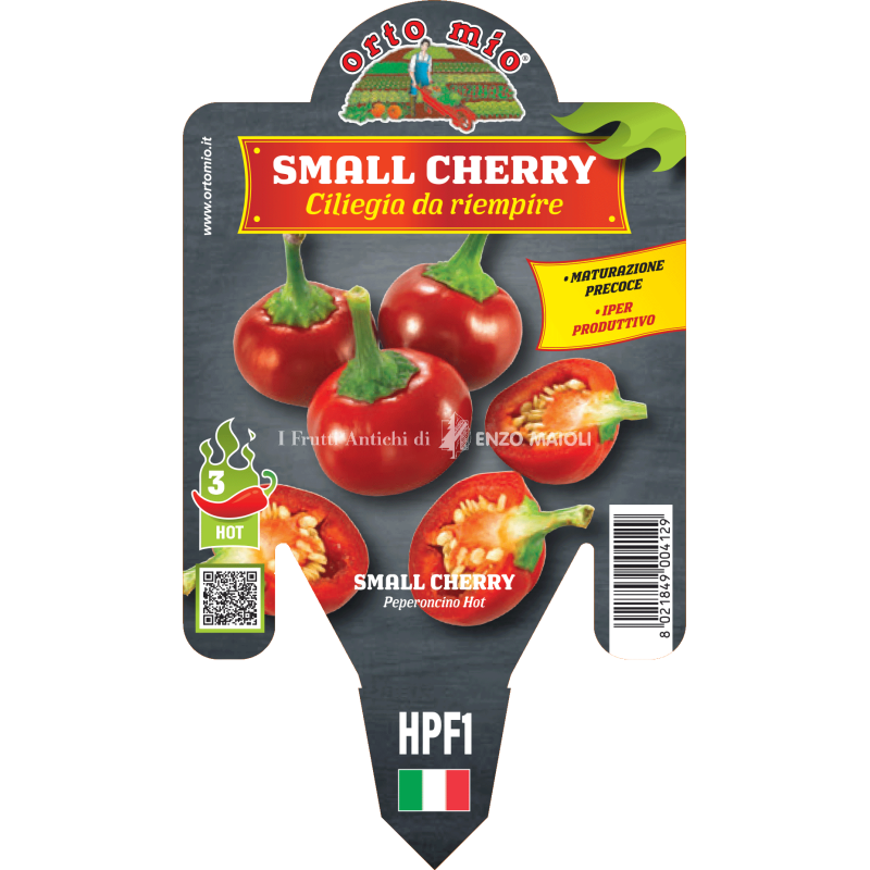 Peperoncino piccante HOT - Small Cherry - 1 pianta vaso 14 - Orto Mio