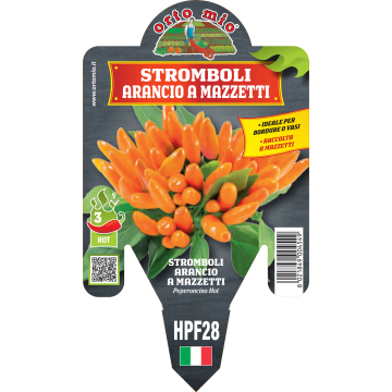 Peperoncino piccante HOT - Mazzetti arancio Stromboli - 1 pianta vaso 14 - Orto Mio