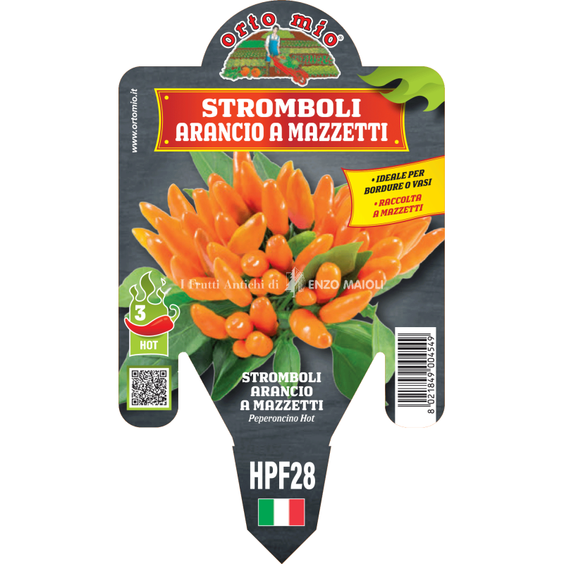 Peperoncino piccante HOT - Mazzetti arancio Stromboli - 1 pianta vaso 14 - Orto Mio