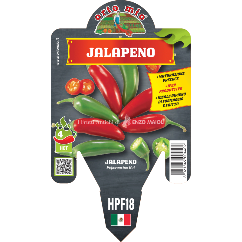 Peperoncino piccante HOT - Jalapeno - 1 pianta vaso 14 - Orto Mio