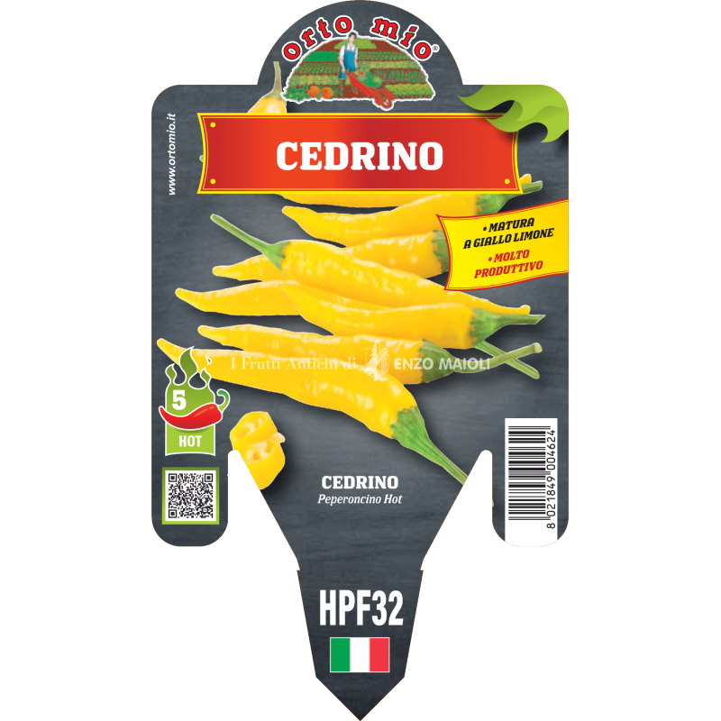 Peperoncino piccante HOT - Cedrino - 1 pianta vaso 14 - Orto Mio