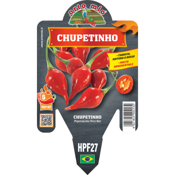 Peperoncino piccante HOT - Chupetinho - 1 pianta vaso 14 - Orto Mio