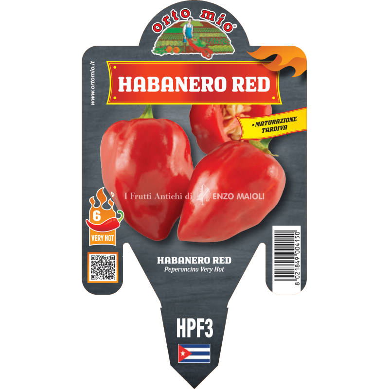 Peperoncino piccante HOT - Habanero Red - 1 pianta vaso 14 - Orto Mio
