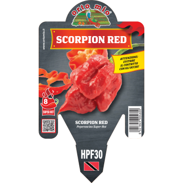 Peperoncino piccante HOT - Scorpion rosso - 1 pianta vaso 14 - Orto Mio