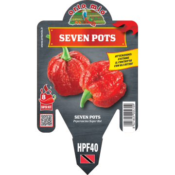 Peperoncino piccante HOT - Seven Pots - 1 pianta vaso 14 - Orto Mio