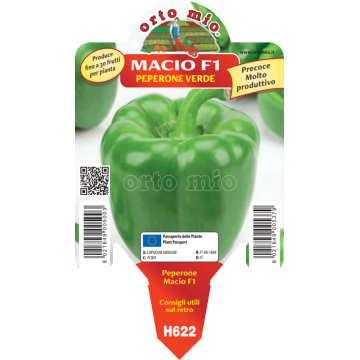 Peperone verde Macio F1 - 1 pianta vaso 10 - Orto Mio
